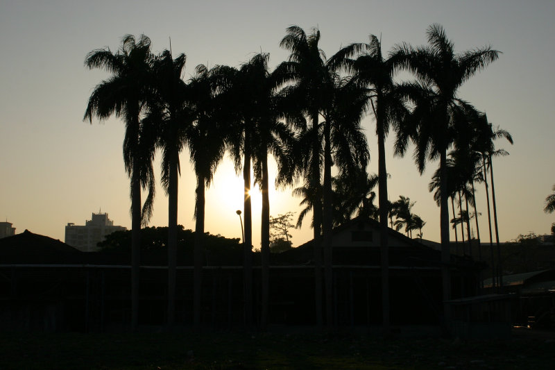 台中復興路酒廠(TADA)導覽2005-01-16台中20號倉庫藝術特區藝術村